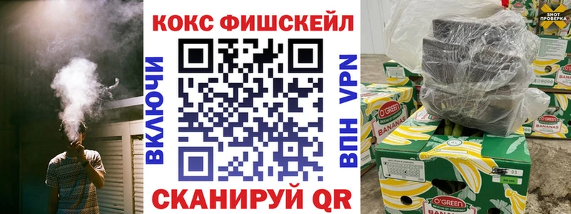 магазин продажи наркотиков Эртиль Кокаин Fish Scale